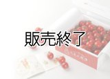 とまと牧場のミニトマト1kg