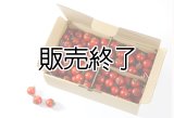 とまと牧場のミニトマト２kg