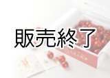 画像: とまと牧場のミニトマト1kg