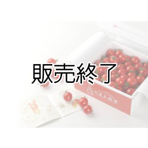 画像: とまと牧場のミニトマト1kg
