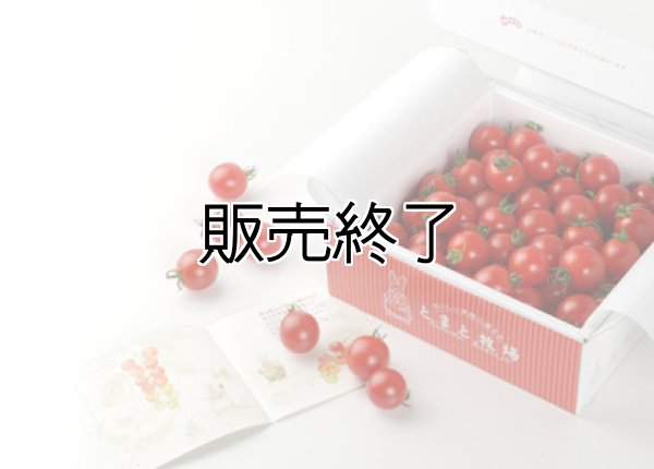 画像1: とまと牧場のミニトマト1kg