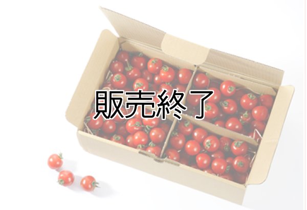 画像1: とまと牧場のミニトマト２kg